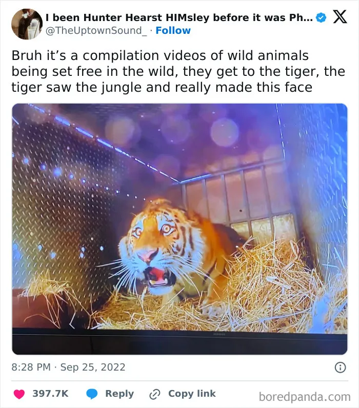 This Facebook Page Is All About Random Memes, Here Is A Selection Of The Funniest (50 Pics)