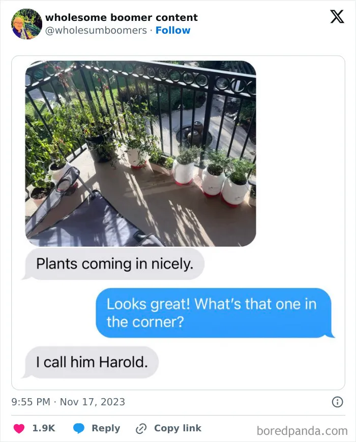 30 Delightfully Wholesome Boomer Moments That Melted The Internet’s Hearts, Shared On X (New Pics)