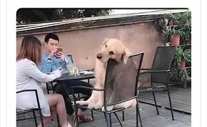 50 Painful Pics That Will Probably Make You Say “Okay, Enough Internet For Me For Today”