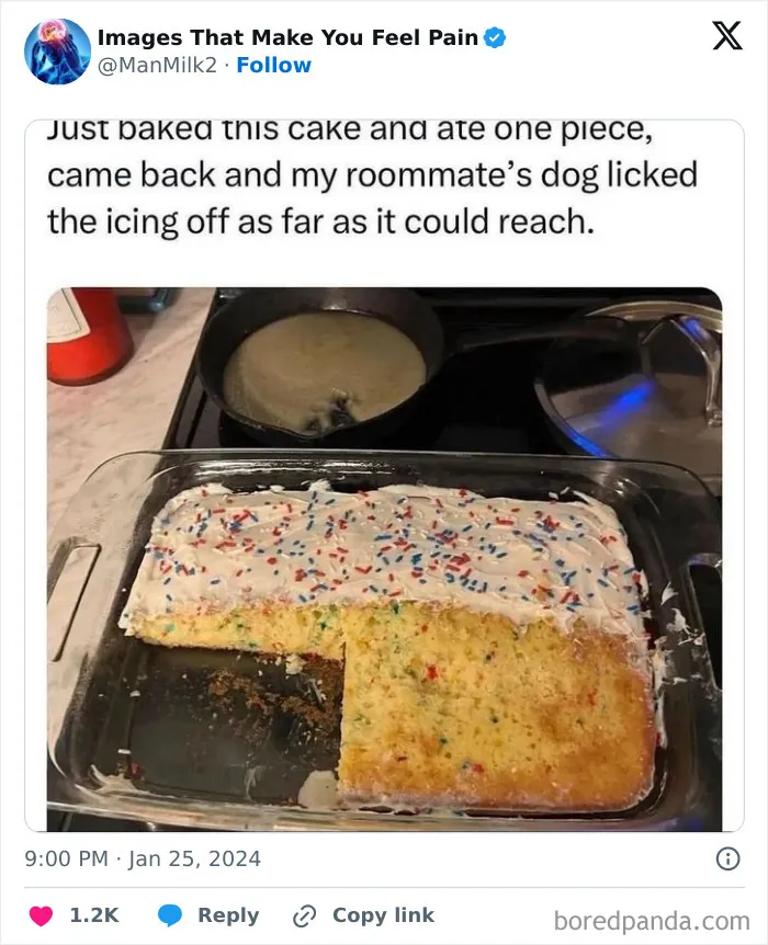 50 Painful Pics That Will Probably Make You Say “Okay, Enough Internet For Me For Today”