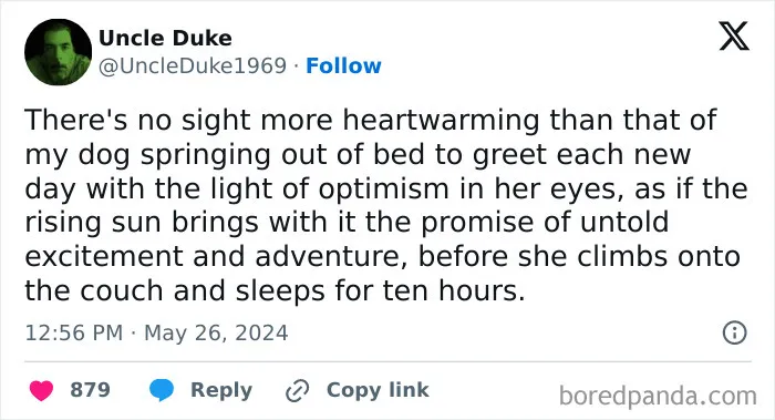 30 Of The Funniest Posts Cat And Dog Owners Shared This Month