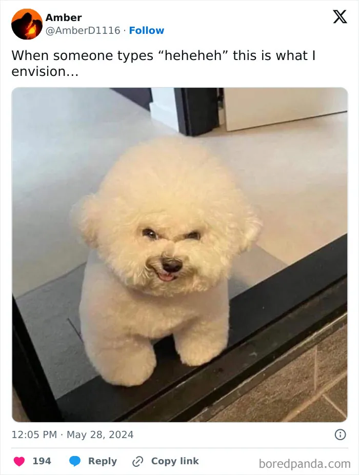 30 Of The Funniest Posts Cat And Dog Owners Shared This Month