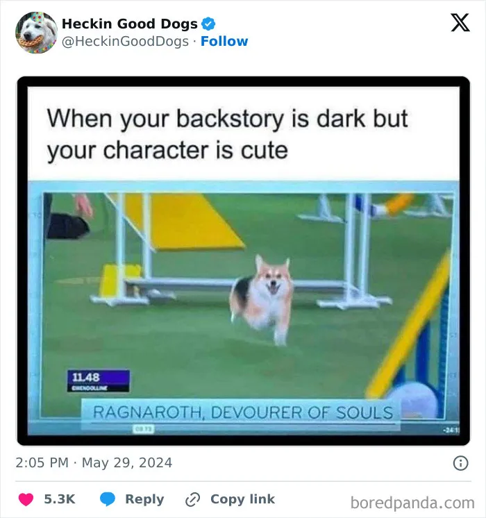 30 Of The Funniest Posts Cat And Dog Owners Shared This Month