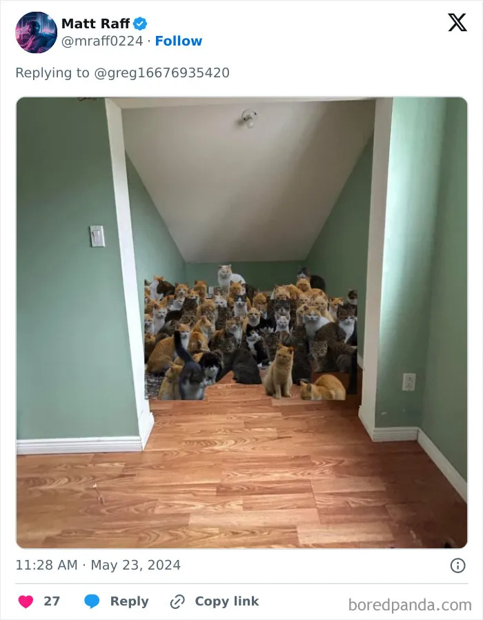 Guy Needs Ideas How To Fill An Awkward Empty Space, X Users Deliver These 30 Hilarious Ones