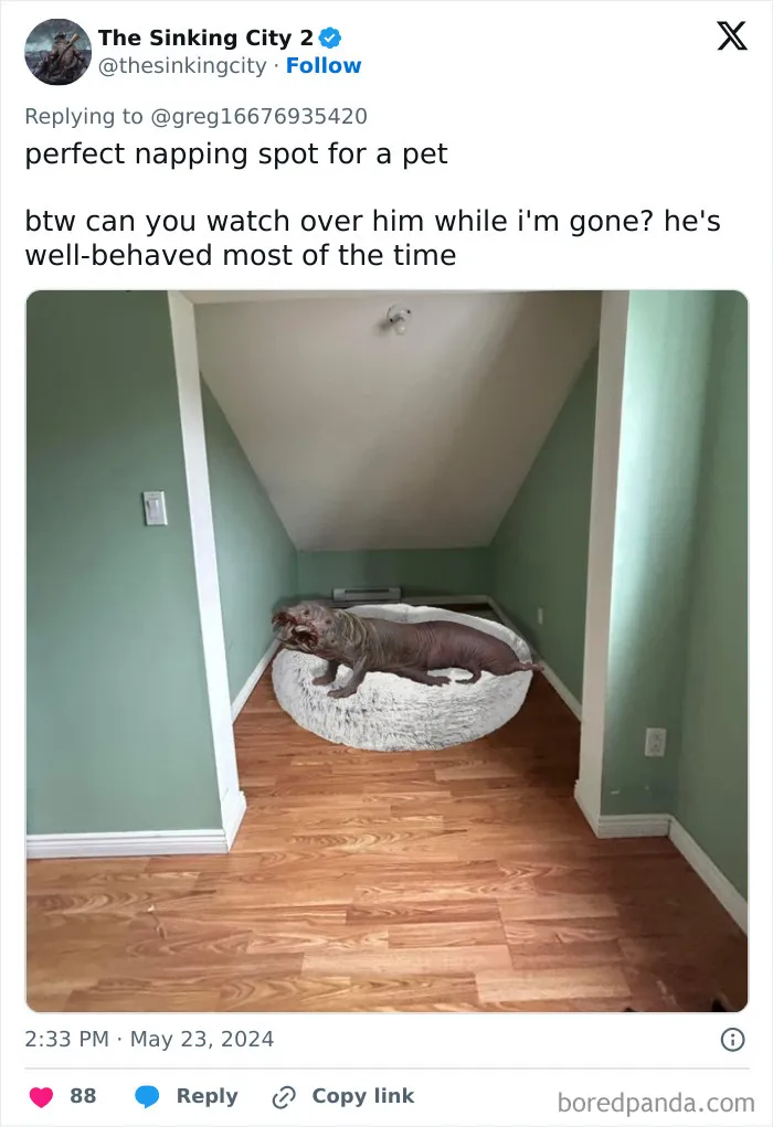 Guy Needs Ideas How To Fill An Awkward Empty Space, X Users Deliver These 30 Hilarious Ones
