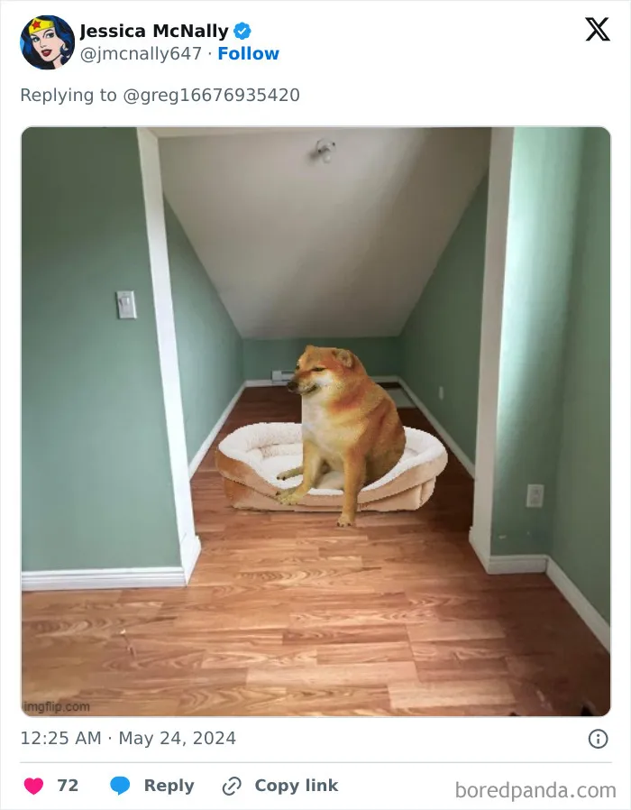 Guy Needs Ideas How To Fill An Awkward Empty Space, X Users Deliver These 30 Hilarious Ones