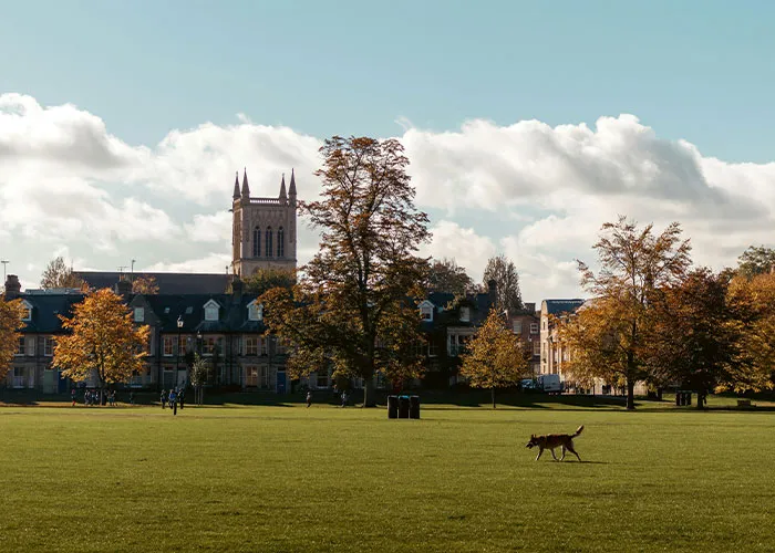30 People Share What Happened To Their High School’s “Most Likely To Succeed” Student