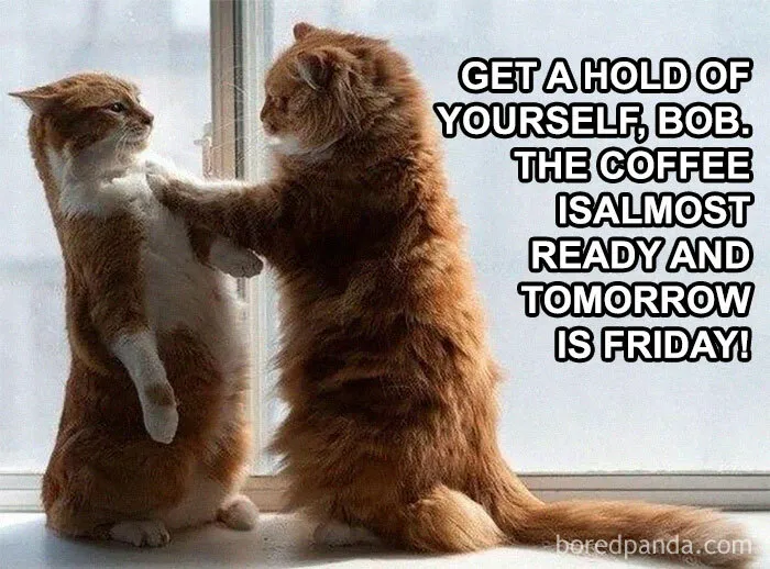 “Get a Hold of Yourself, Bob”