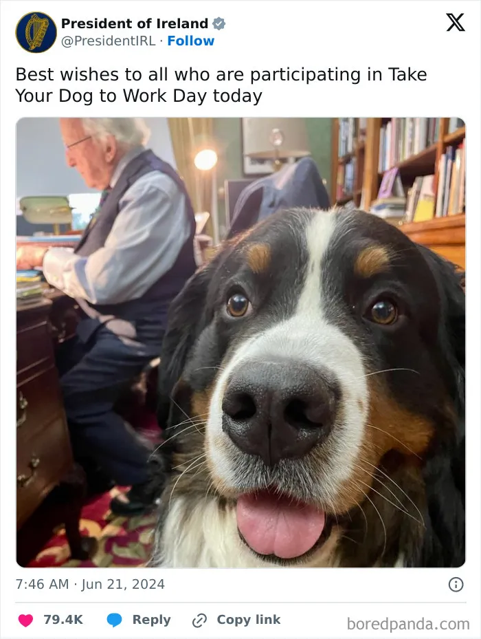 30 Of The Funniest Posts Cat And Dog Owners Shared This Month