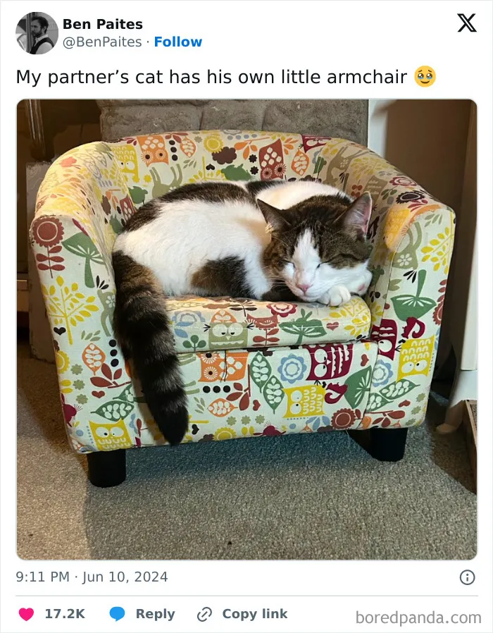 30 Of The Funniest Posts Cat And Dog Owners Shared This Month