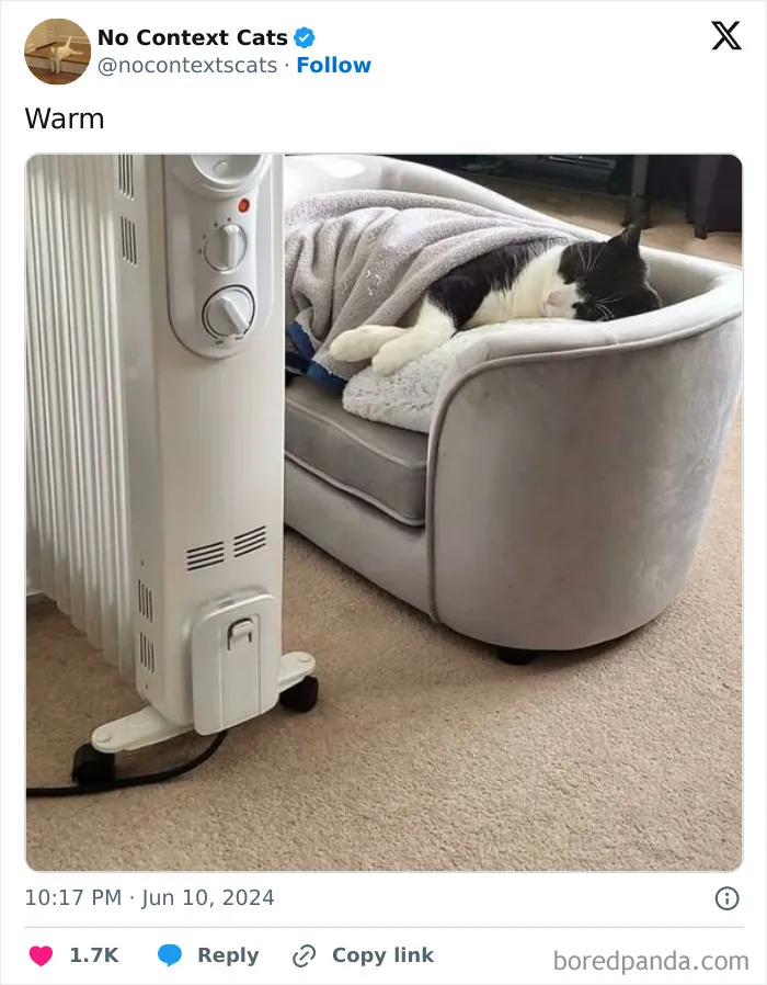 50 New Pics From The “Out Of Context” X Page To Brighten Up Your Day