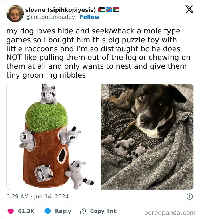 30 Of The Funniest Posts Cat And Dog Owners Shared This Month
