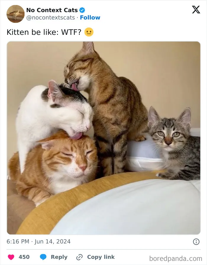 50 New Pics From The “Out Of Context” X Page To Brighten Up Your Day