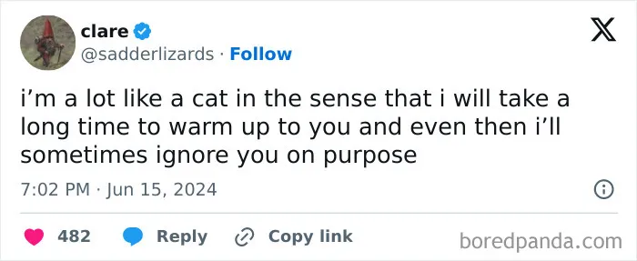 30 Of The Funniest Posts Cat And Dog Owners Shared This Month