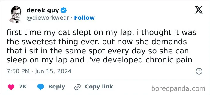 30 Of The Funniest Posts Cat And Dog Owners Shared This Month