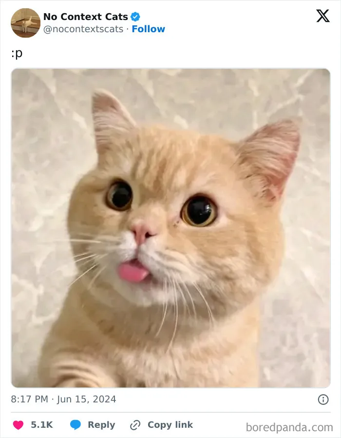 50 New Pics From The “Out Of Context” X Page To Brighten Up Your Day