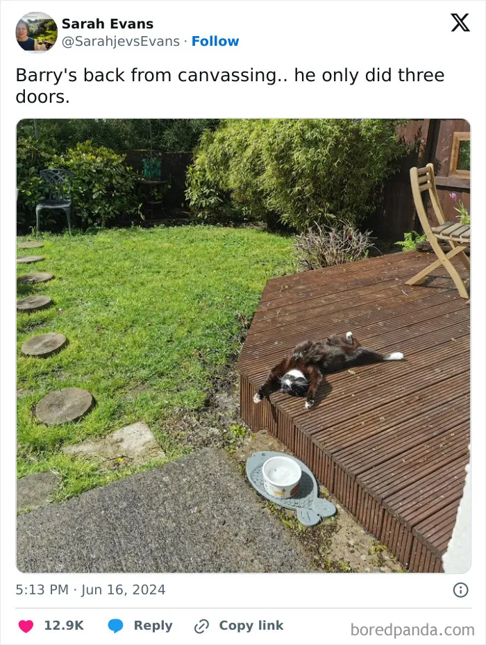 30 Of The Funniest Posts Cat And Dog Owners Shared This Month
