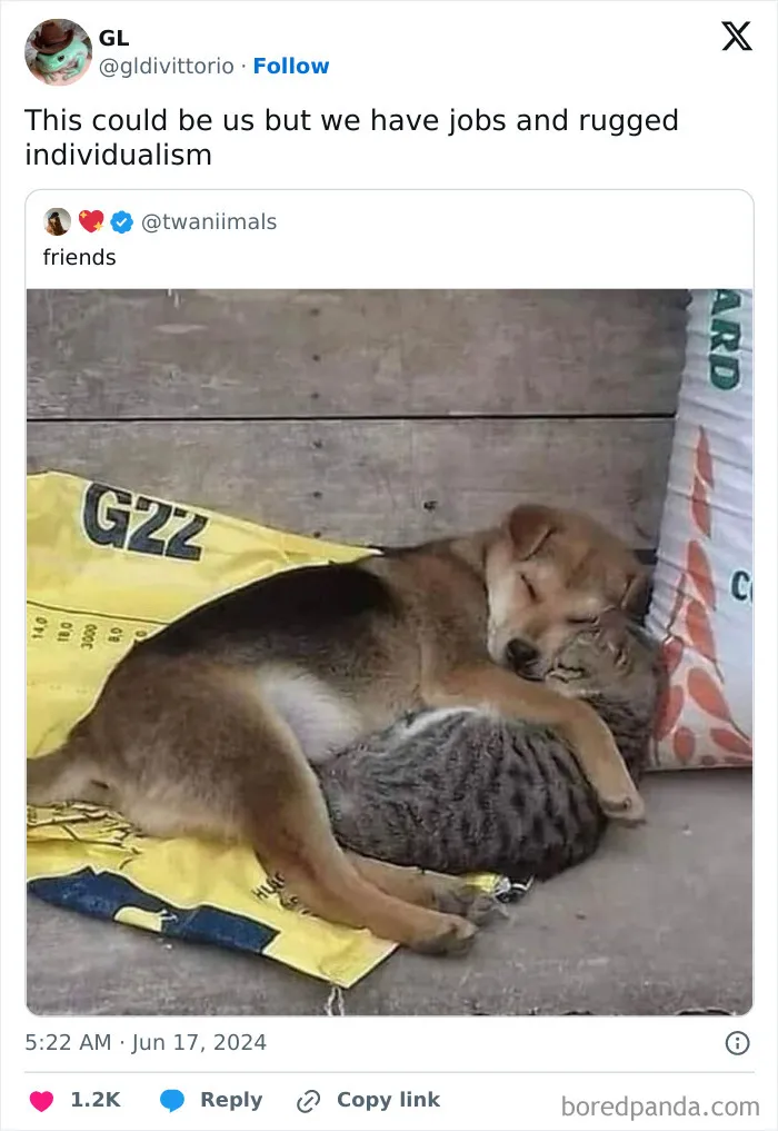 30 Of The Funniest Posts Cat And Dog Owners Shared This Month