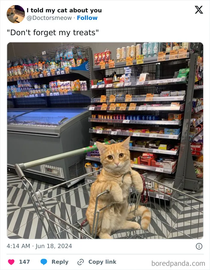 50 New Pics From The “Out Of Context” X Page To Brighten Up Your Day