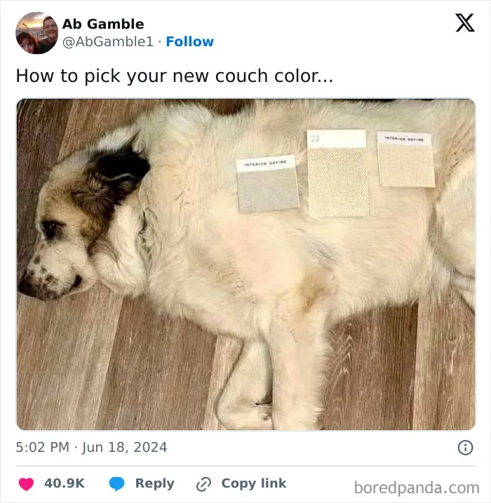 30 Of The Funniest Posts Cat And Dog Owners Shared This Month