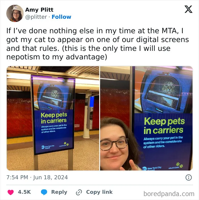 30 Of The Funniest Posts Cat And Dog Owners Shared This Month