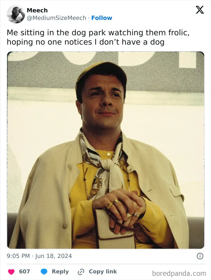 30 Of The Funniest Posts Cat And Dog Owners Shared This Month