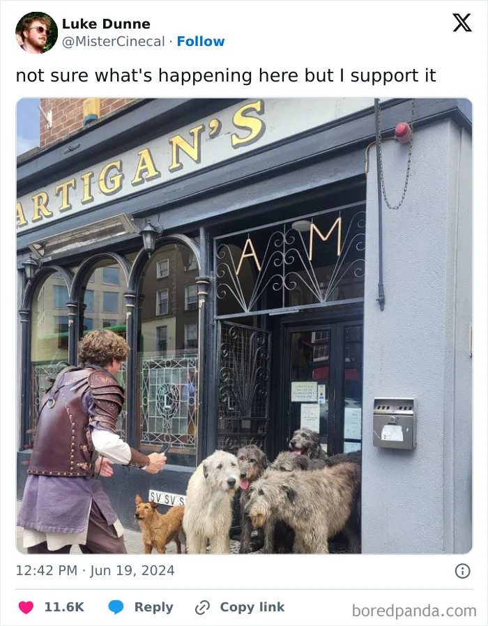30 Of The Funniest Posts Cat And Dog Owners Shared This Month