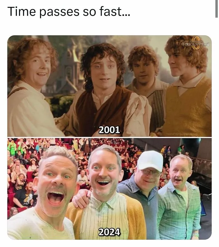 "One Meme To Rule Them All": 50 Hilarious LOTR Memes from Dedicated Fans