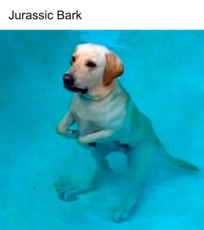 This Instagram Account Is The Ultimate Place For Parent Humor, Here Are 50 Of The Funniest Posts
