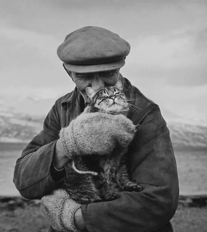 This Account Shared 29 Amusing Street Photos Featuring Cats