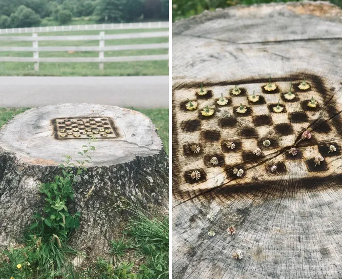 Un compañero de trabajo y yo quemamos un tablero de ajedrez en el tronco de un árbol viejo. Jugamos el primer juego con flores de diente de león y trébol.