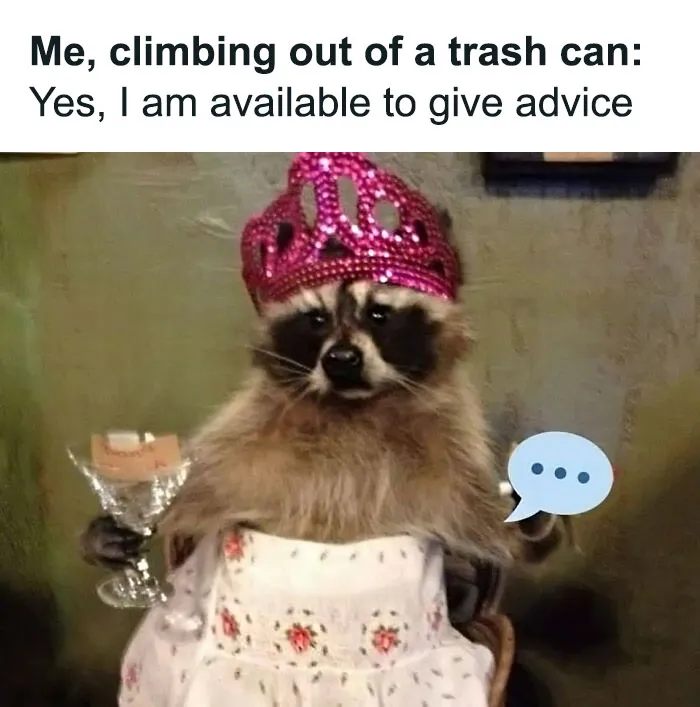 ‘Animals With Vibing Auras’: 50 Hilarious Pics Of Creatures Doing Random Things