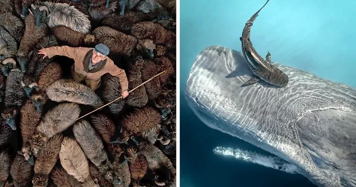 30 Best Drone Photos Of 2024, According To The Siena Awards