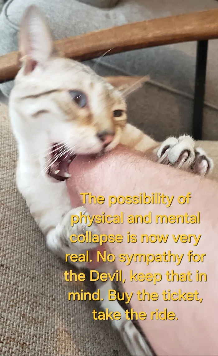He's Surprisingly Gentle When He Mauls