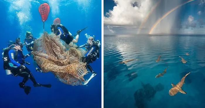 15 Winning Images Of The United Nations World Oceans Day Photo Competition 2024