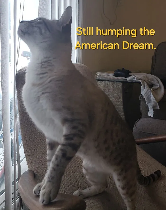 I Think He'd Seen A Fly