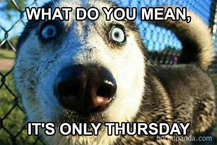 “What Do You Mean It’s Thursday?”