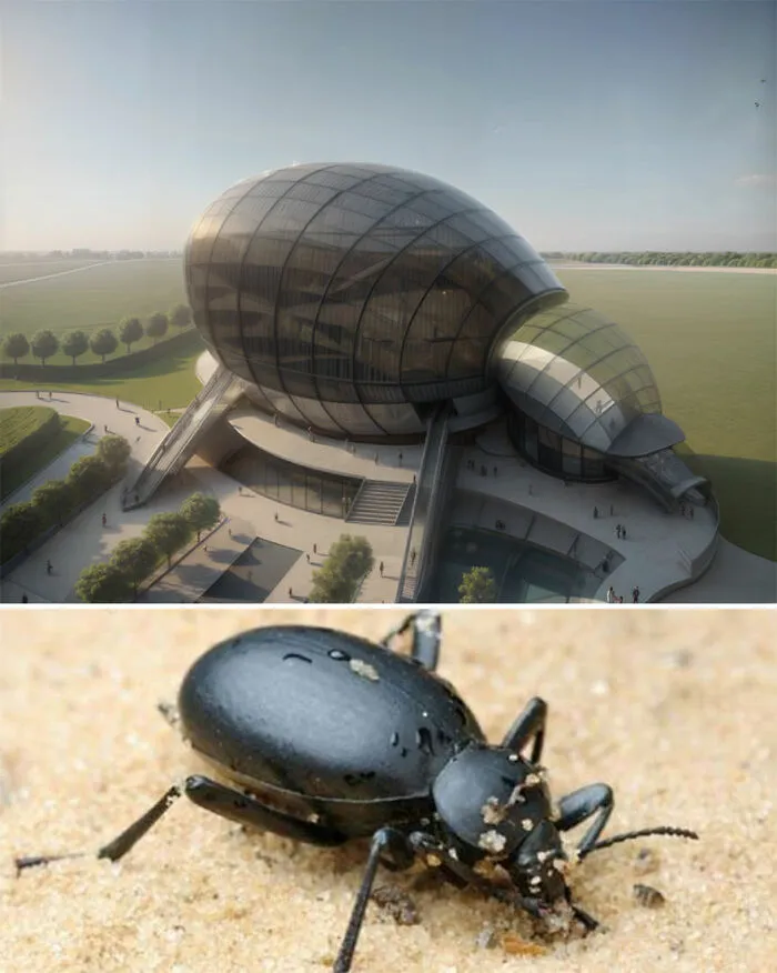 21 Of The Most Impressive Architectural Ideas Inspired By Simple Everyday Objects (New Pics)
