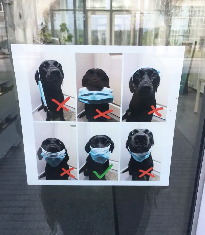 University’s Way Of Showing How To Correctly Wear Your Mask