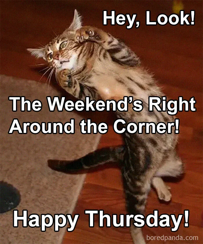 Cat meme with text: "Hey, Look! The Weekend’s Right Around the Corner! Happy Thursday."