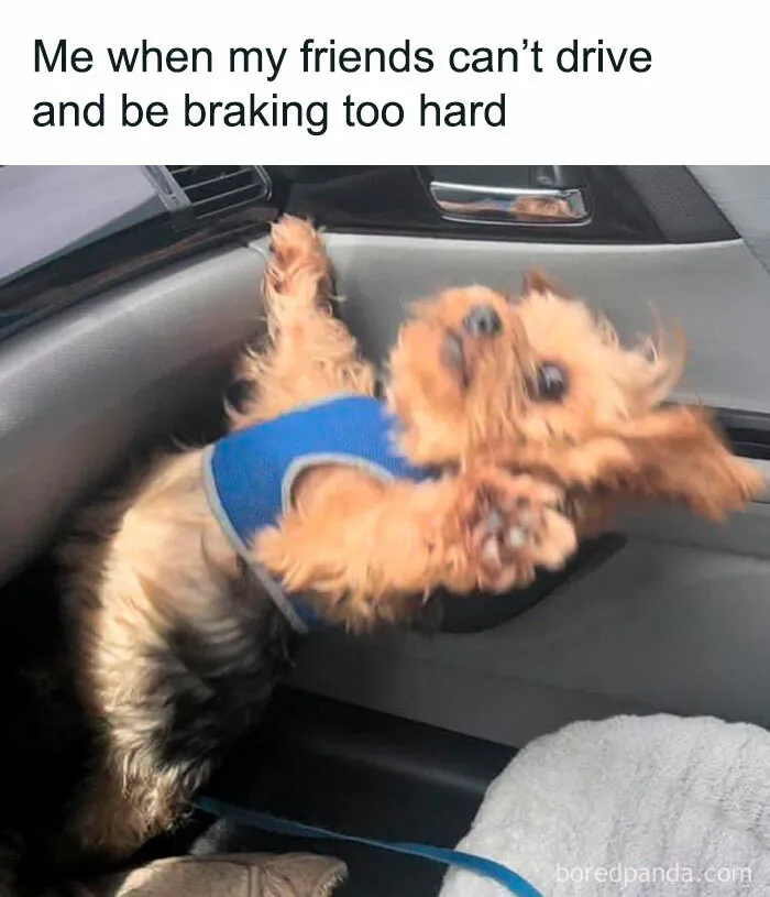 50 Of The Funniest Memes From The ‘Queen Savage’ IG Page