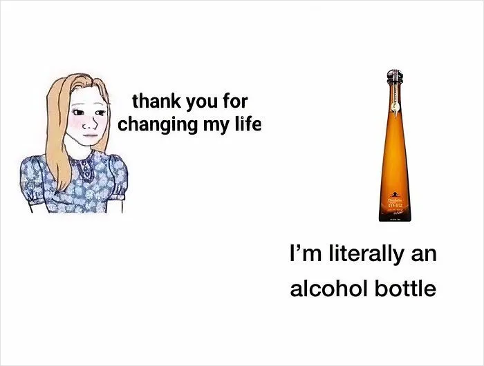 A person thanking an alcohol bottle with the caption 'Thank you for changing my life' and the bottle replying 'I'm literally an alcohol bottle.'