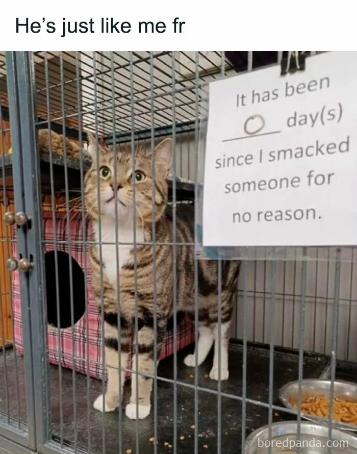 I'm Sure He Has Very Good Reasons!