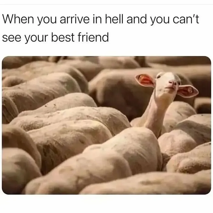50 Of The Funniest Memes From The ‘Queen Savage’ IG Page