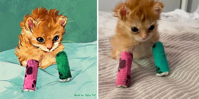 Funny Cat Pics Get Even Funnier When Illustrated By This Artist (33 New Pics)