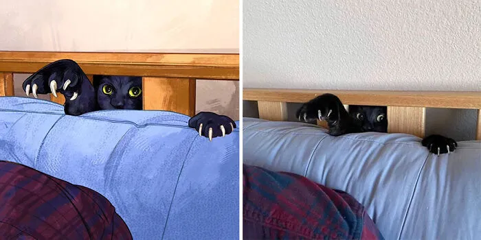 Funny Cat Pics Get Even Funnier When Illustrated By This Artist (33 New Pics)
