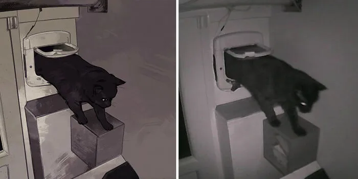 Funny Cat Pics Get Even Funnier When Illustrated By This Artist (33 New Pics)