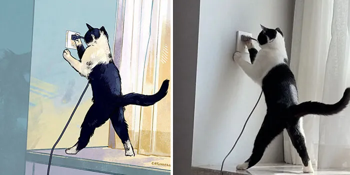 Funny Cat Pics Get Even Funnier When Illustrated By This Artist (33 New Pics)