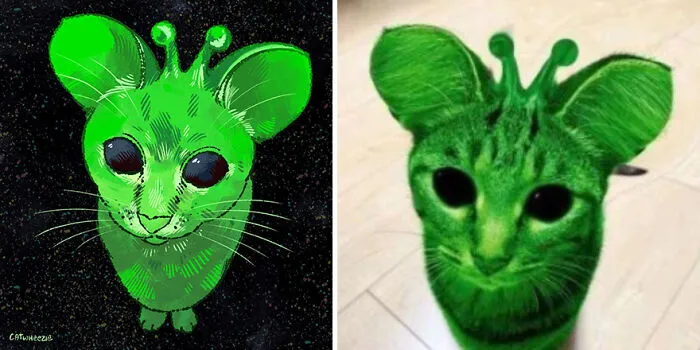 Funny Cat Pics Get Even Funnier When Illustrated By This Artist (33 New Pics)