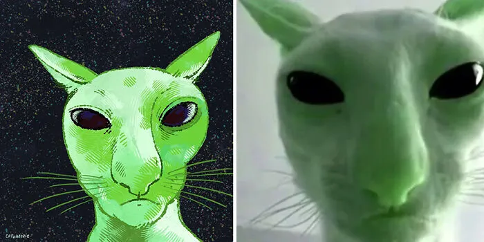 Funny Cat Pics Get Even Funnier When Illustrated By This Artist (33 New Pics)